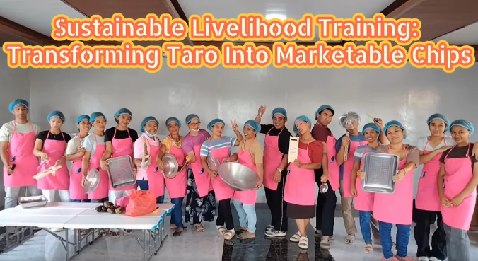 Kalinga Is Turning Taro Into a Business. Here Is How 20 Residents in Lubuagan Learned to Do It.